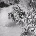 14-18_Along-the-Western-front-way_horses-in-river.jpg