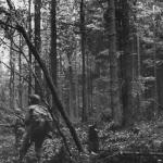 D-Day-Experience_Hurtgen-forest.jpg